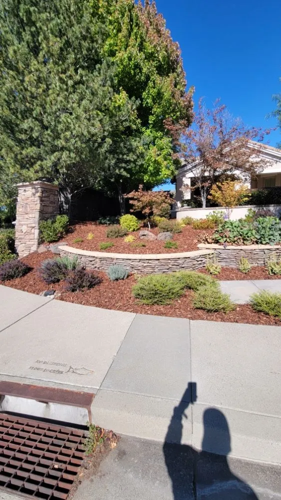 Local garden landscaping in Roseville, CA - Alex's Lanwcare