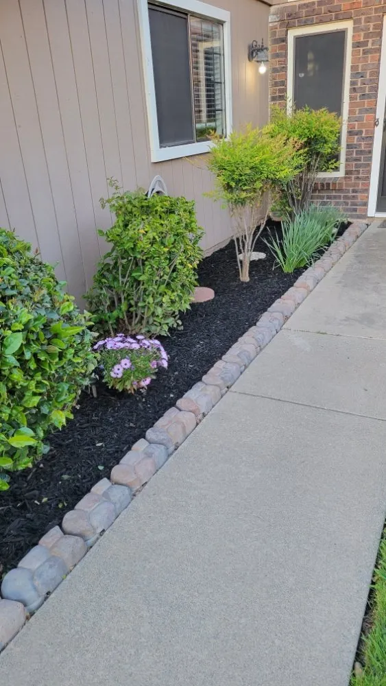 Professional landscaping services experts serving Roseville, CA - Alex's Lanwcare