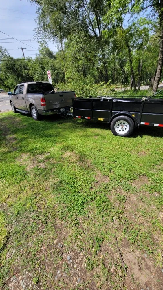 Expert yard maintenance for year-round maintenance in Roseville, CA by Alex's Lanwcare