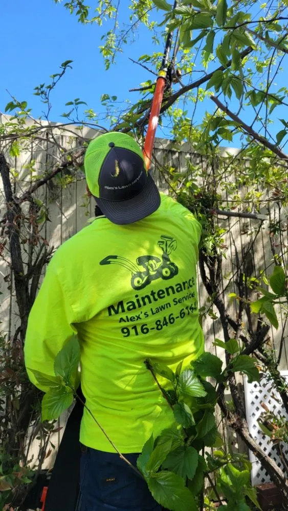 Top-rated lawn mowing service in Roseville, CA - Alex's Lanwcare