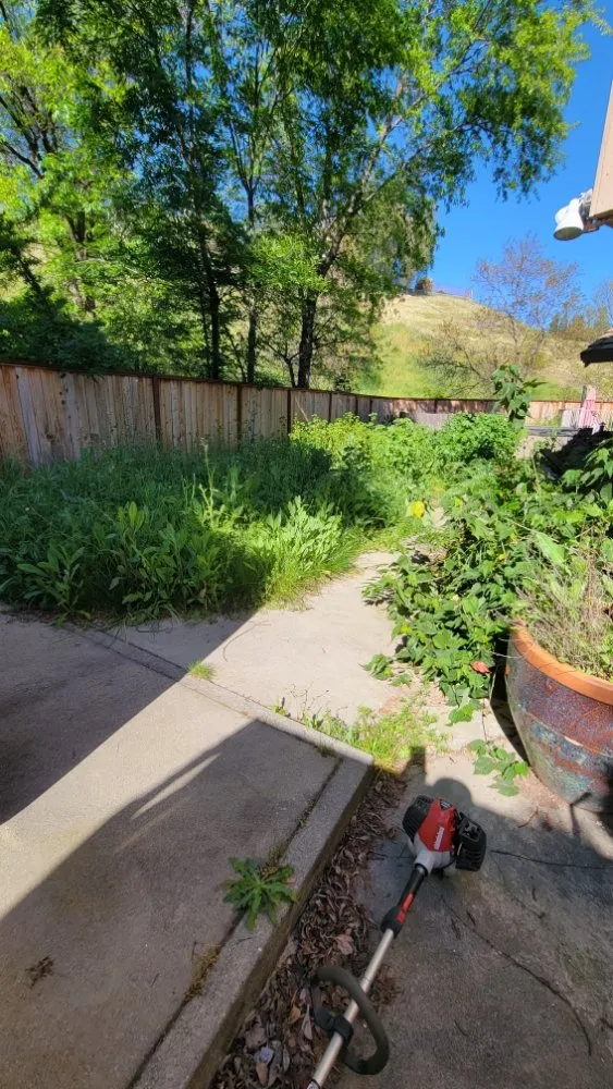 Affordable residential landscaping for outdoor upgrades across Roseville, CA - Alex's Lanwcare