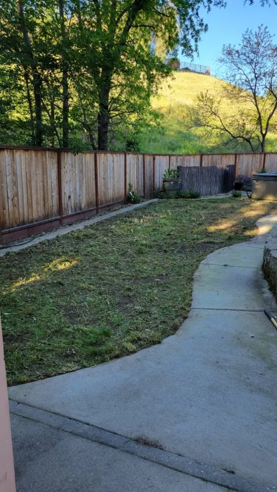 Affordable landscaping services in Roseville, CA - Alex's Lanwcare
