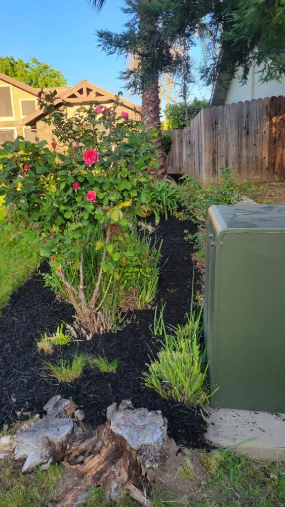 Reliable yard maintenance in Roseville, CA - Alex's Lanwcare