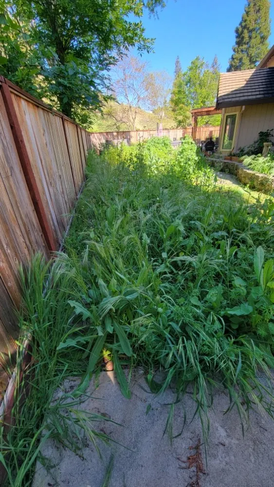 Top-rated lawn mowing service in Roseville, CA - Alex's Lanwcare