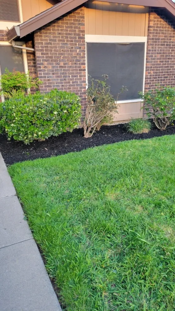 Affordable landscaping services in Roseville, CA - Alex's Lanwcare