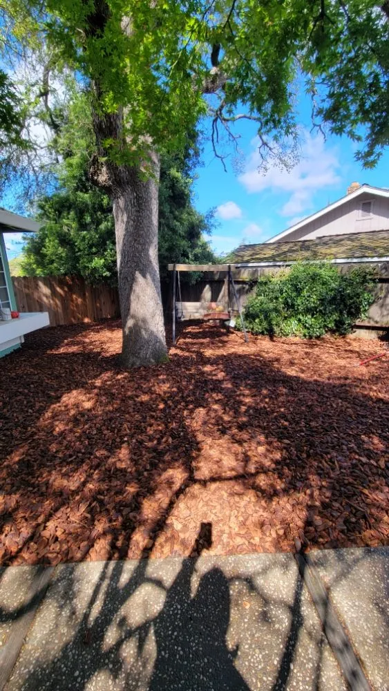 Custom residential landscaping for residential properties across Roseville, CA - Alex's Lanwcare