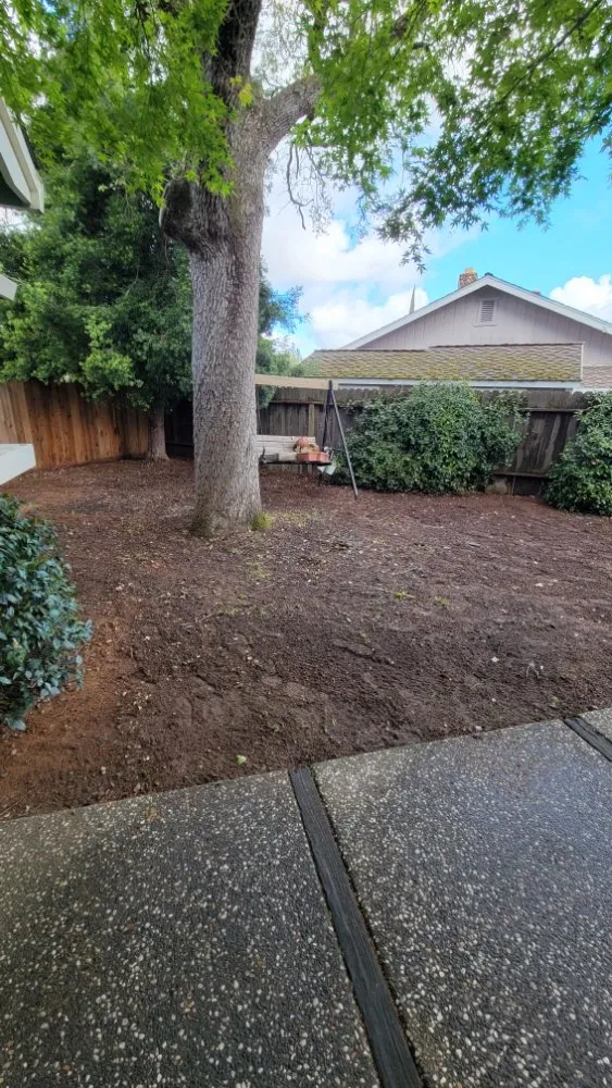 Expert garden landscaping in Roseville, CA by Alex's Lanwcare