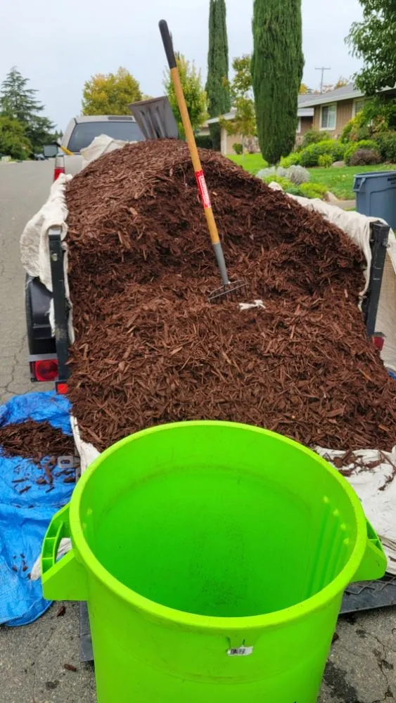 Top-rated lawn mowing service in Roseville, CA - Alex's Lanwcare