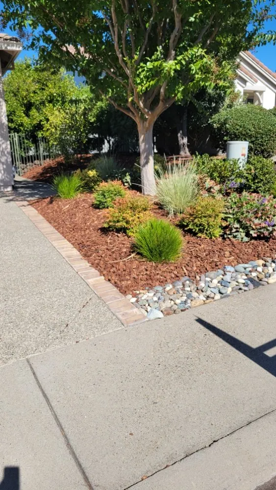 Local yard maintenance with custom design across Roseville, CA - Alex's Lanwcare
