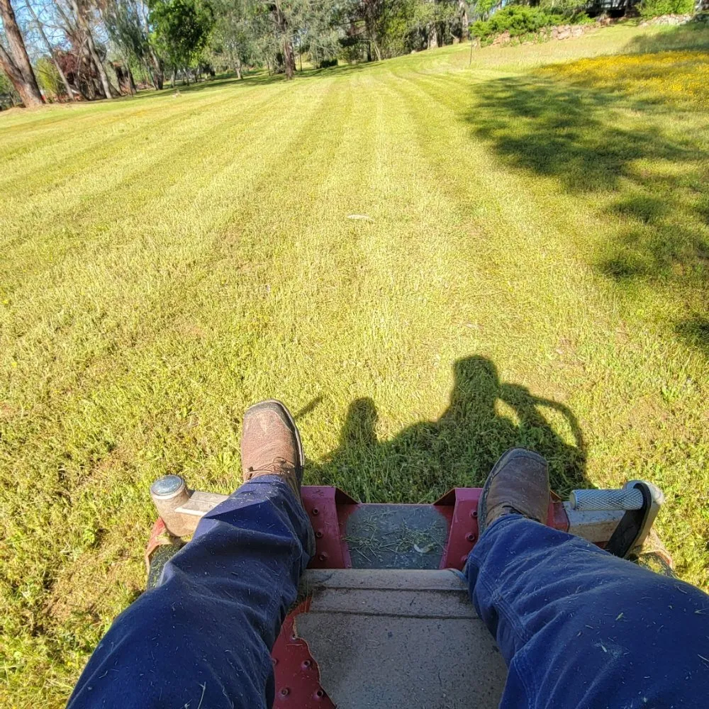 Affordable yard cleanup service in Roseville, CA - Alex's Lanwcare