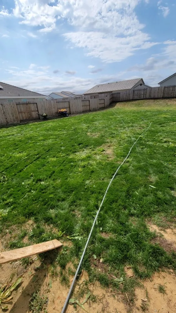 Top-rated lawn care service for homes across Roseville, CA - Alex's Lanwcare