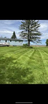 Alex’s Lawn & Landscape