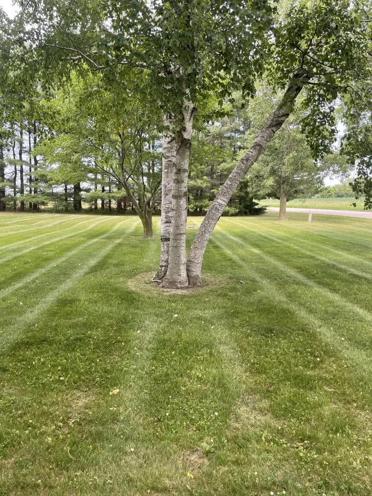 Professional yard cleanup service experts serving Burnett, WI - Alex's Lawn And Landscaping Service