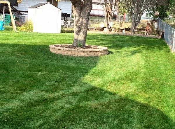 Reliable residential landscaping with custom design in Rochester, MN by Alex's Lawn Care & Snow Removal