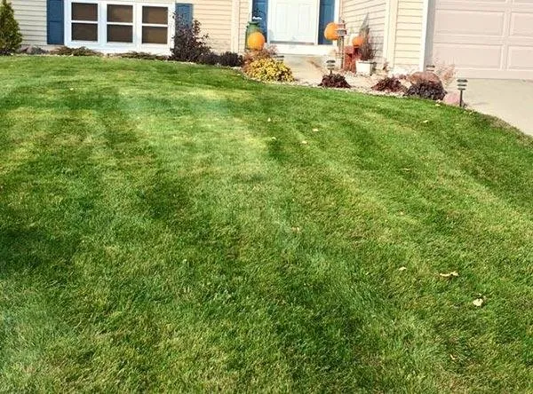 Reliable landscape design near you across Rochester, MN - Alex's Lawn Care & Snow Removal