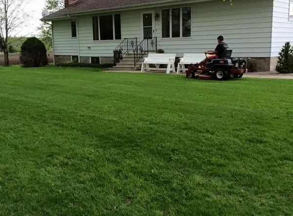 Local yard cleanup service with custom design across Rochester, MN - Alex's Lawn Care & Snow Removal