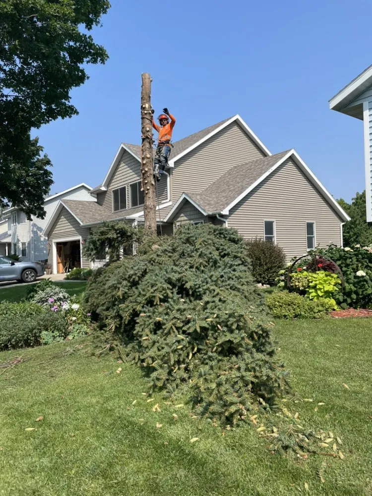 Reliable lawn mowing service in Rochester, MN by Alex's Lawn Care & Tree Services