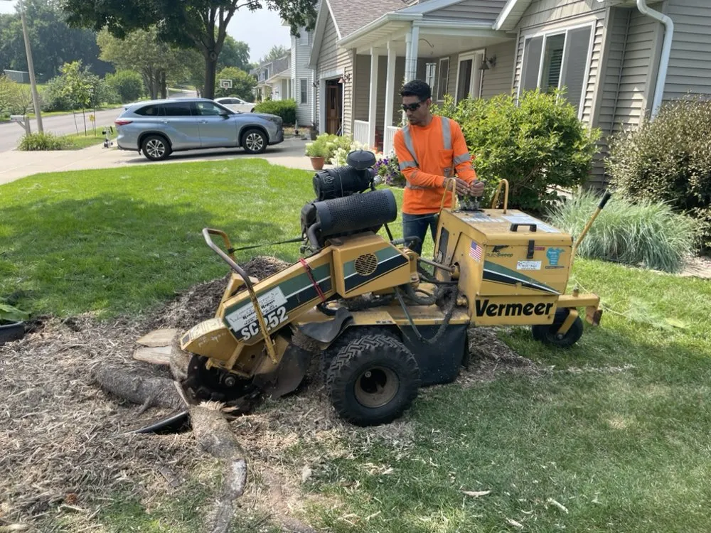Trusted landscaping services in Rochester, MN by Alex's Lawn Care & Tree Services