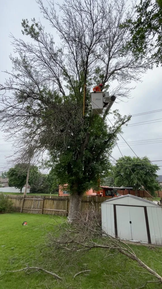 Custom residential landscaping with custom design across Rochester, MN - Alex's Lawn Care & Tree Services