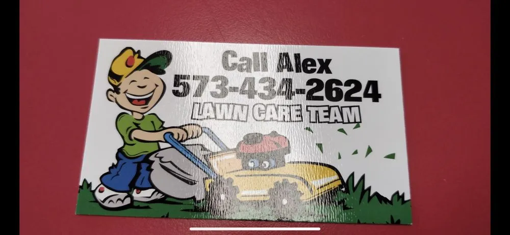 Top-rated yard cleanup service in Village of Four Seasons, MO - Alexs Lawn Care
