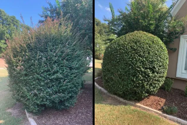 Expert yard maintenance in Birmingham, AL - Alex’s Lawncare