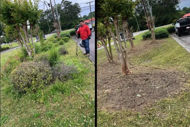 Affordable landscape installation in Birmingham, AL by Alex’s Lawncare