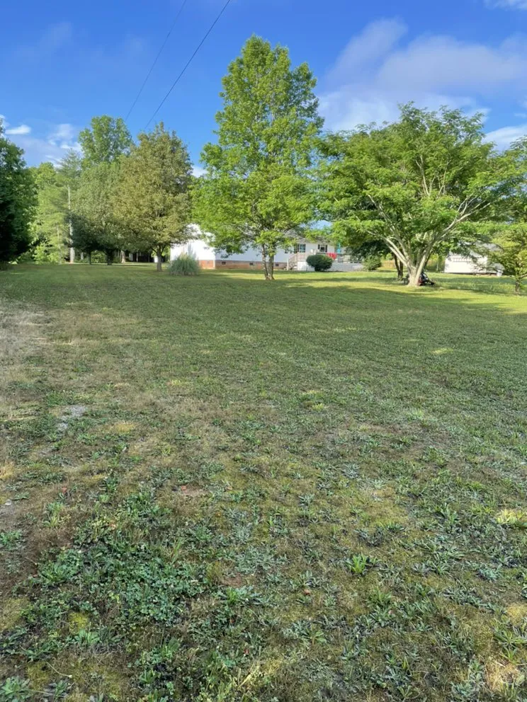 Local yard maintenance experts serving Shelby, NC - Alex’s Lawncare