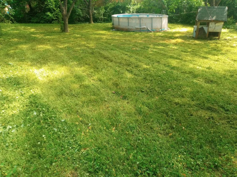 Trusted landscaping services in Shelby, NC by Alex’s Lawncare