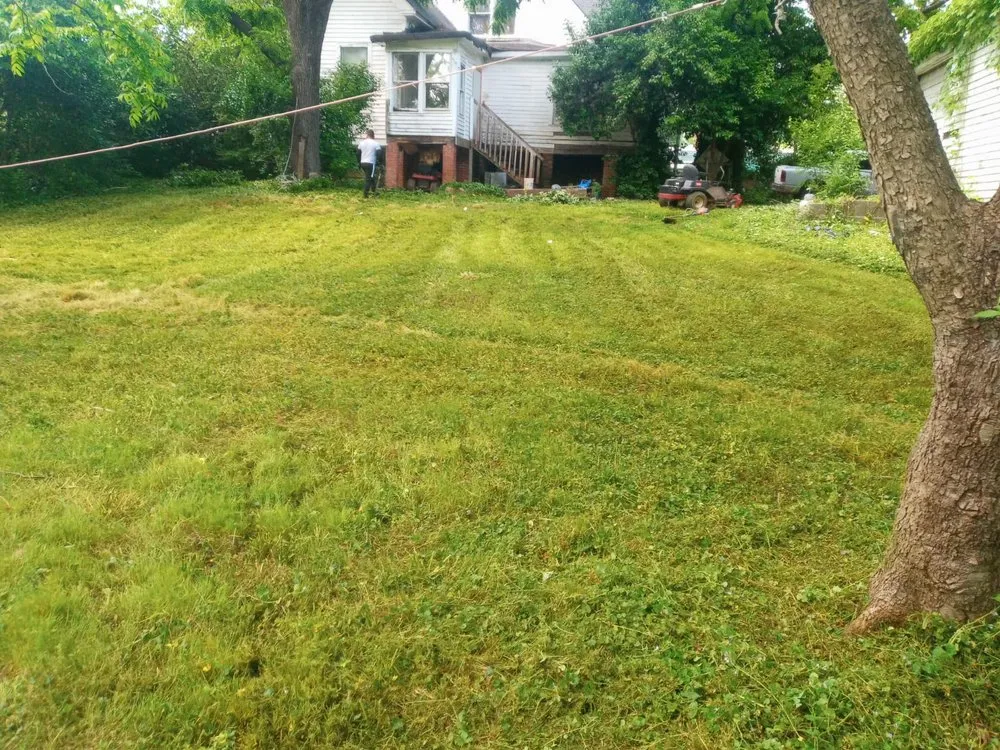 Local yard cleanup service near you in Shelby, NC by Alex’s Lawncare