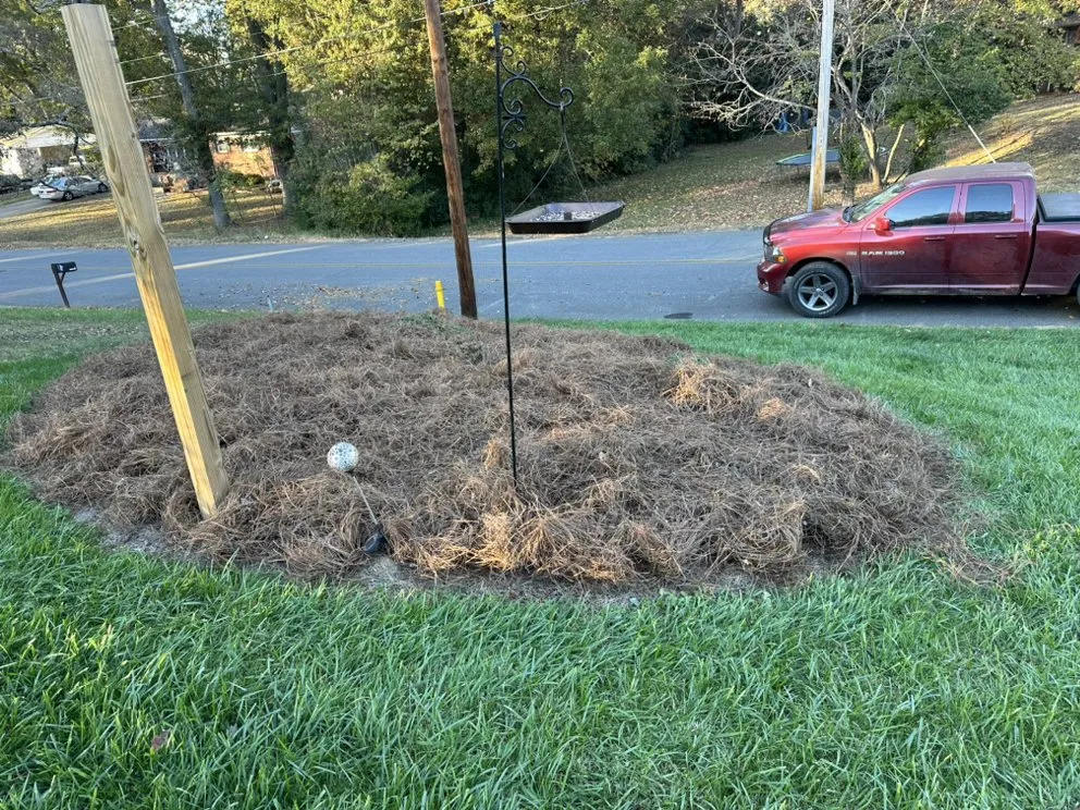 Trusted outdoor landscaping in Shelby, NC by Alex’s Lawncare