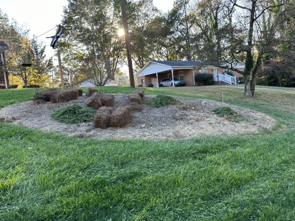 Professional landscaping services experts serving Shelby, NC - Alex’s Lawncare