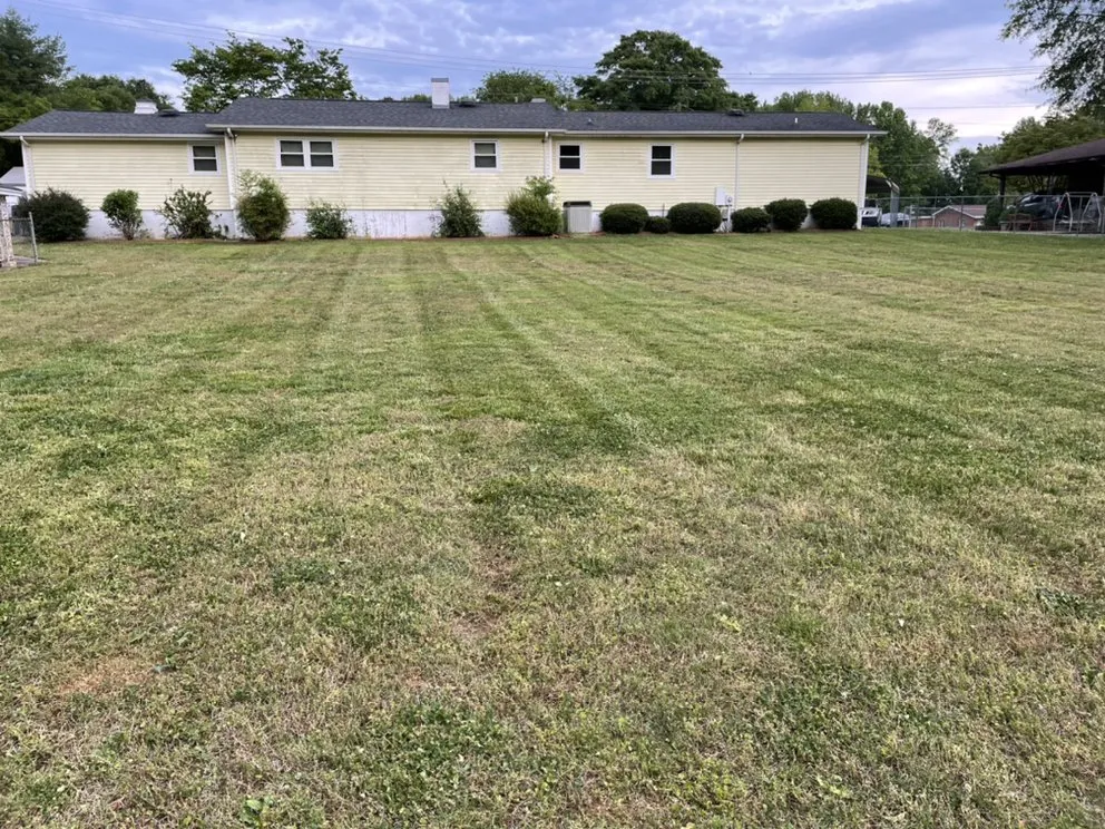 Trusted yard cleanup service in Shelby, NC - Alex’s Lawncare