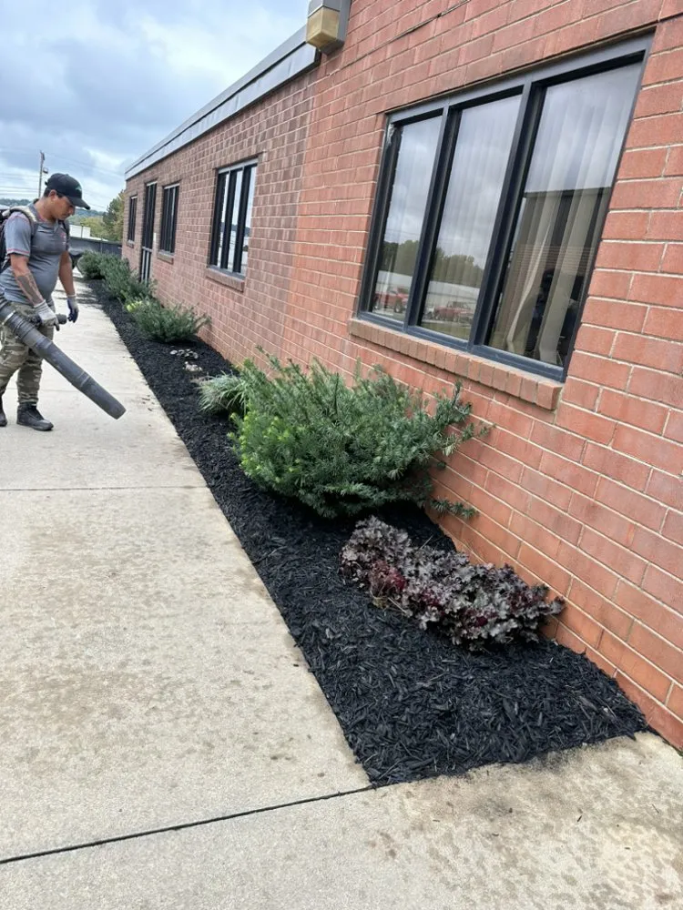 Expert residential landscaping for residential properties across Shelby, NC - Alex’s Lawncare