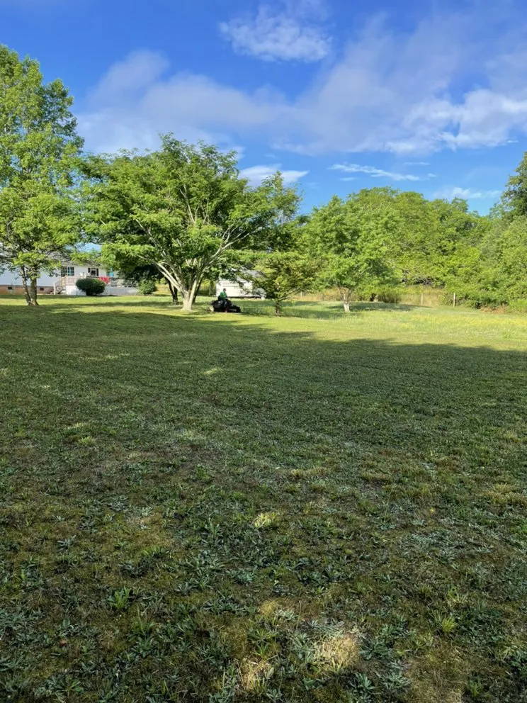 Affordable yard maintenance experts serving Shelby, NC - Alex’s Lawncare