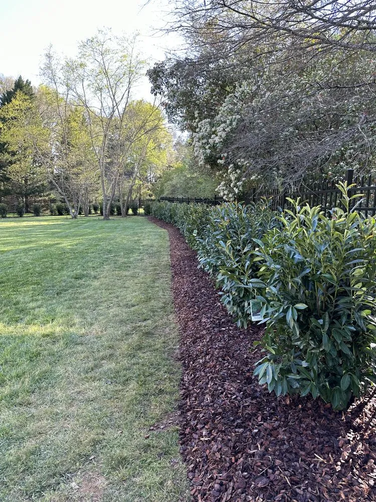 Professional outdoor landscaping in Charlotte, NC - Alex's Lawnscape