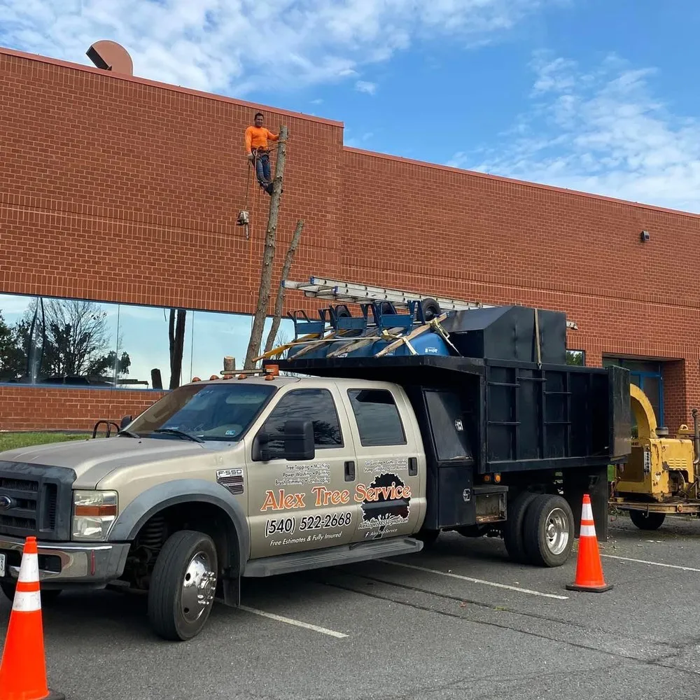 Top-rated landscape installation experts serving Culpeper, VA - Alex’s Tree Service