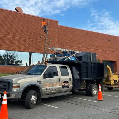 Alex’s Tree Service Logo