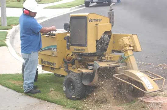 Top-rated lawn mowing service experts serving Sarasota, FL - Alex's Tree Service