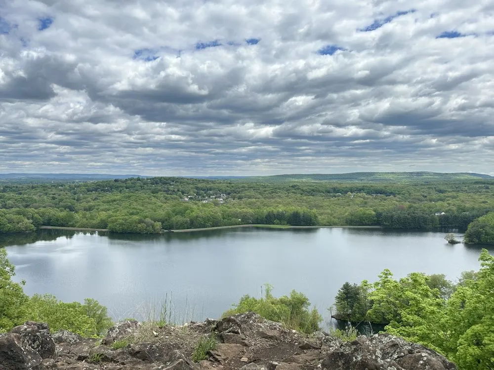 Local garden landscaping near you across Bristol, CT - Alex's Work