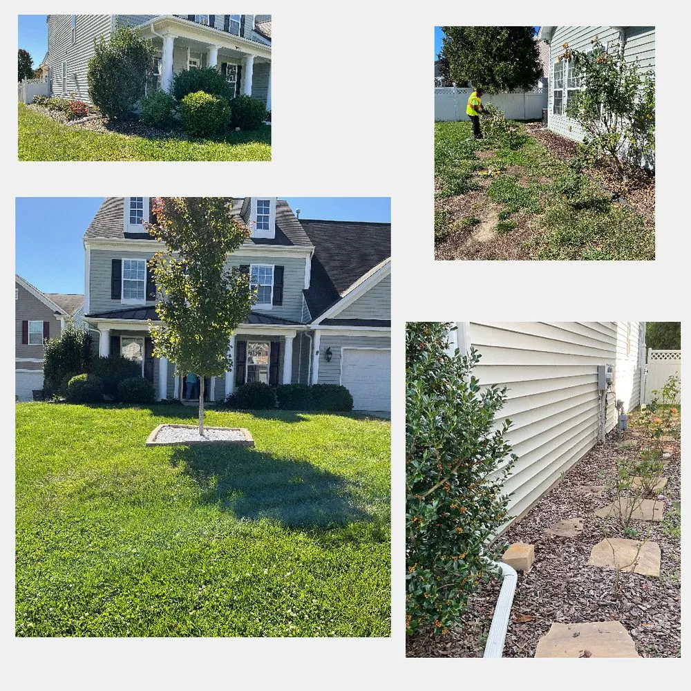 Top-rated landscaping services for year-round maintenance in Charlotte, NC by Alexscape Landscaping