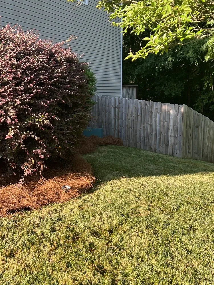 Affordable yard cleanup service for residential properties across Charlotte, NC - Alexscape Landscaping