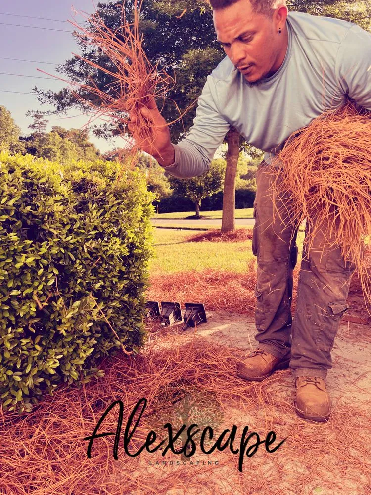 Top-rated lawn mowing service in Charlotte, NC - Alexscape Landscaping