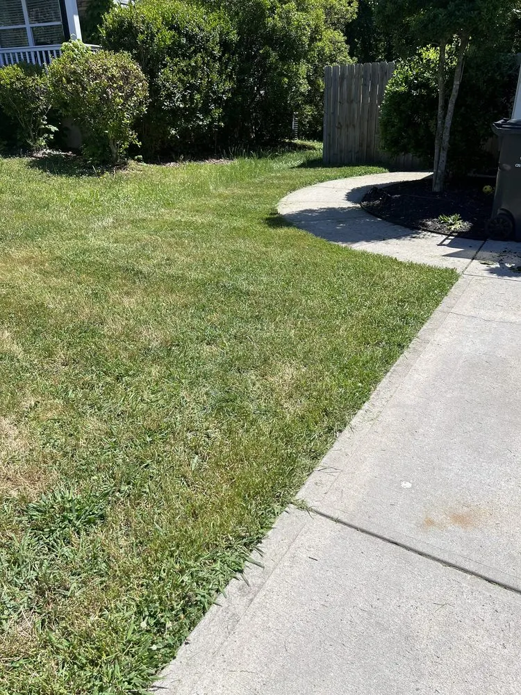 Trusted residential landscaping in Charlotte, NC by Alexscape Landscaping