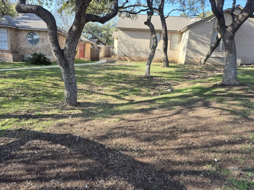 Affordable yard cleanup service in Selma, TX - Alfa and Omega Lawnscaping