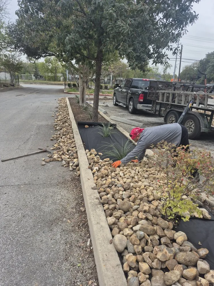 Trusted yard cleanup service for residential properties across Selma, TX - Alfa and Omega Lawnscaping