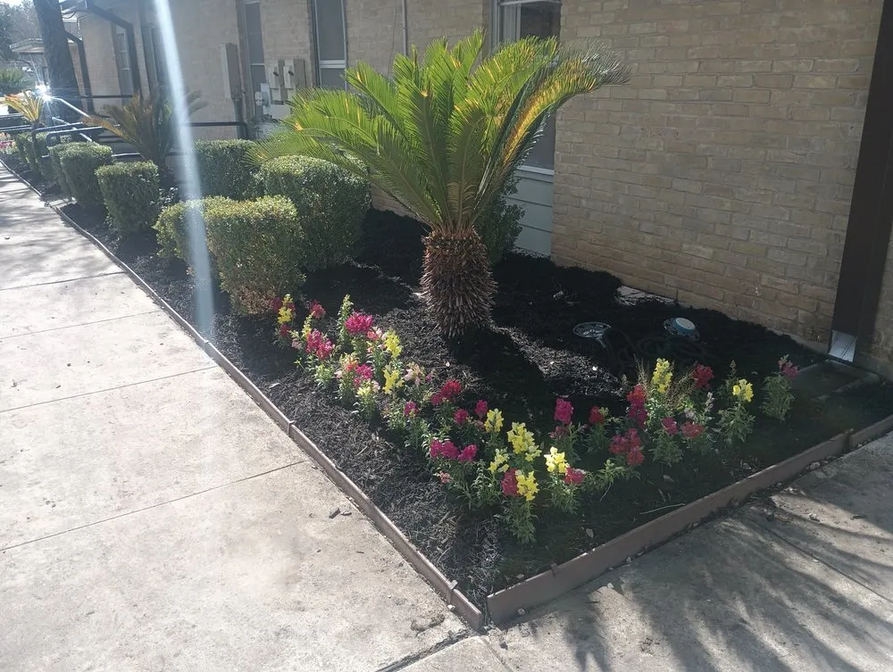 Professional lawn care service for residential properties in Selma, TX by Alfa and Omega Lawnscaping