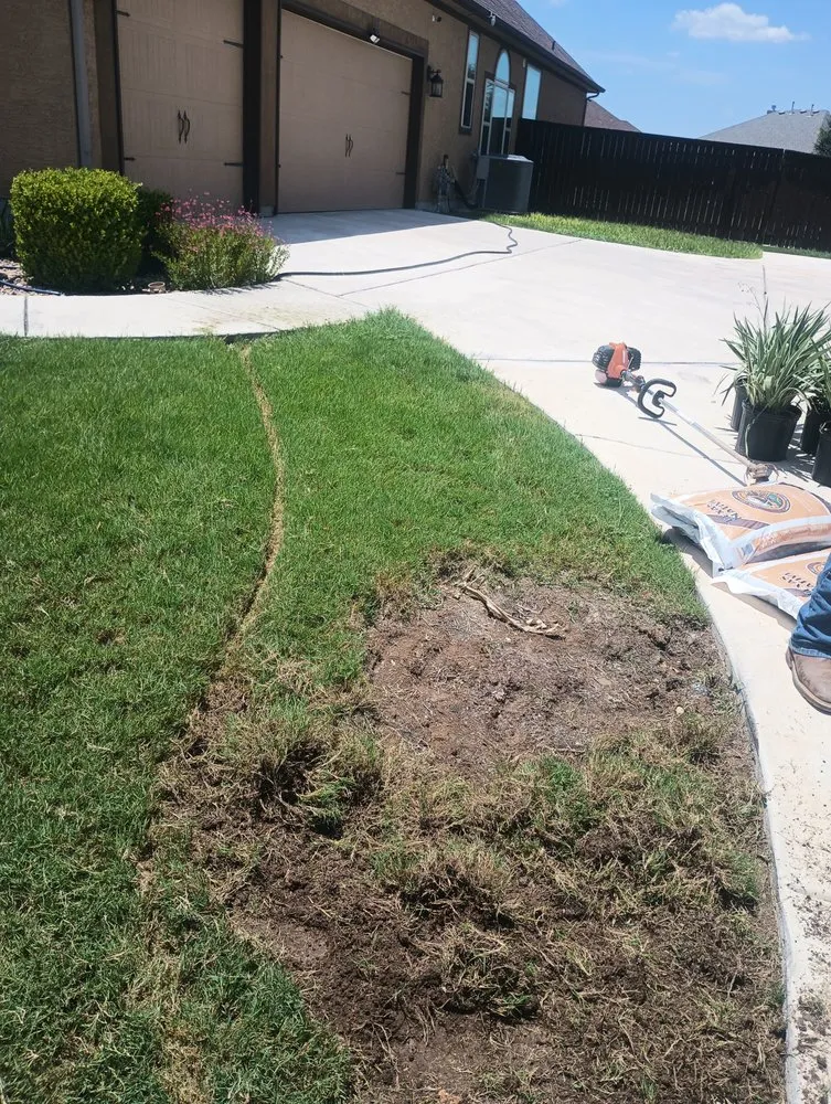 Affordable residential landscaping for year-round maintenance in Selma, TX by Alfa and Omega Lawnscaping