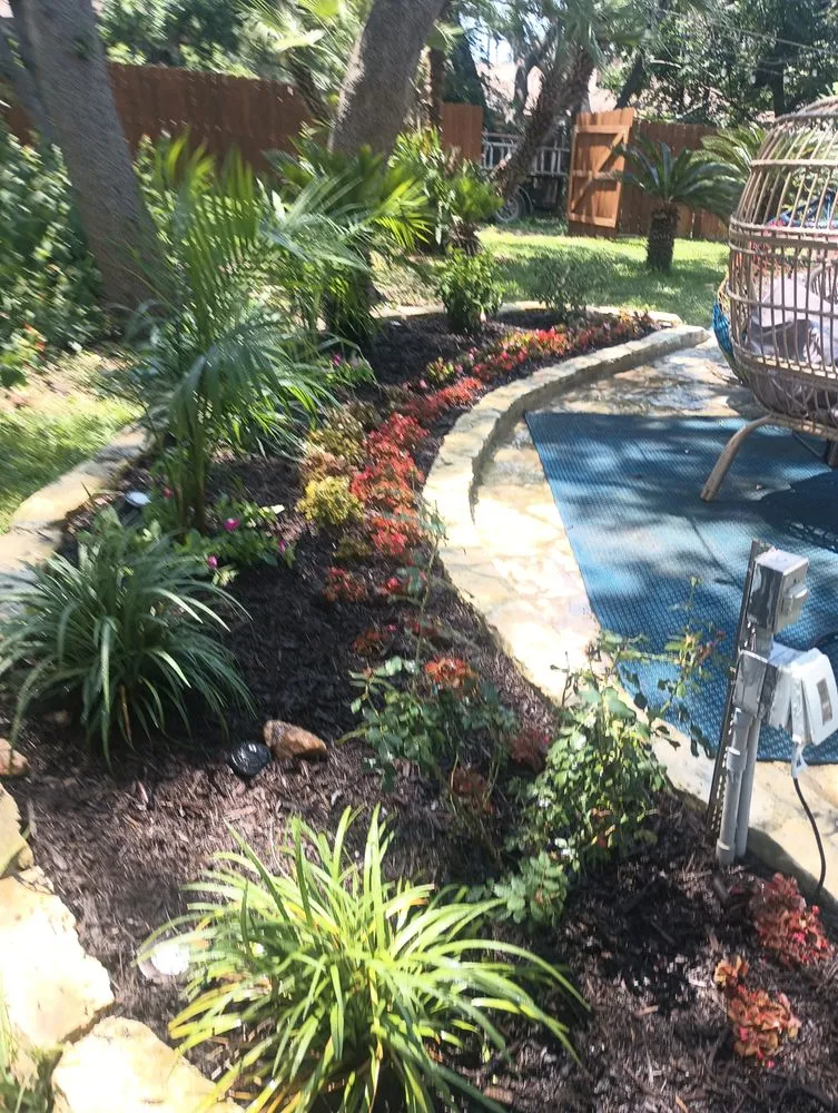 Professional landscaping services in Selma, TX - Alfa and Omega Lawnscaping
