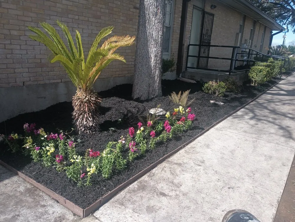 Reliable outdoor landscaping in Selma, TX by Alfa and Omega Lawnscaping