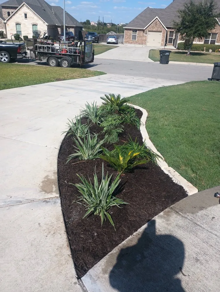 Local landscape installation for outdoor upgrades in Selma, TX by Alfa and Omega Lawnscaping